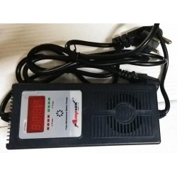Charger 48V3